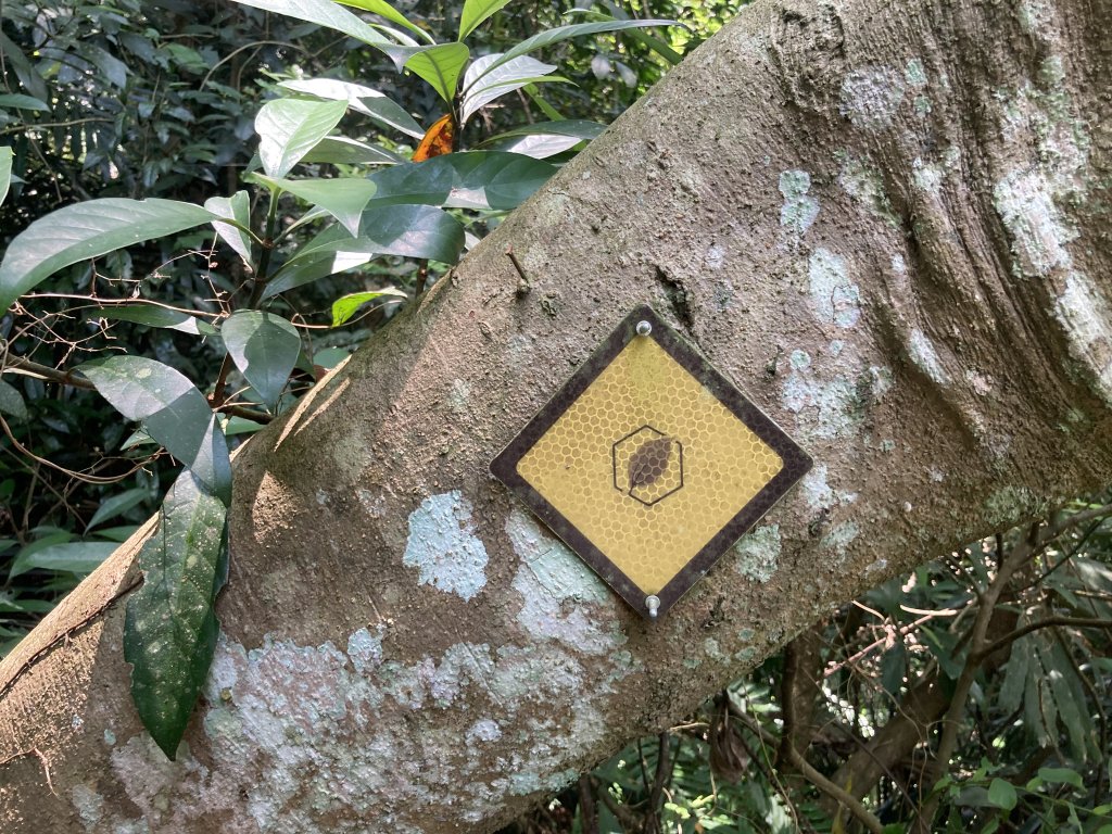 打牛崎古道_2563984