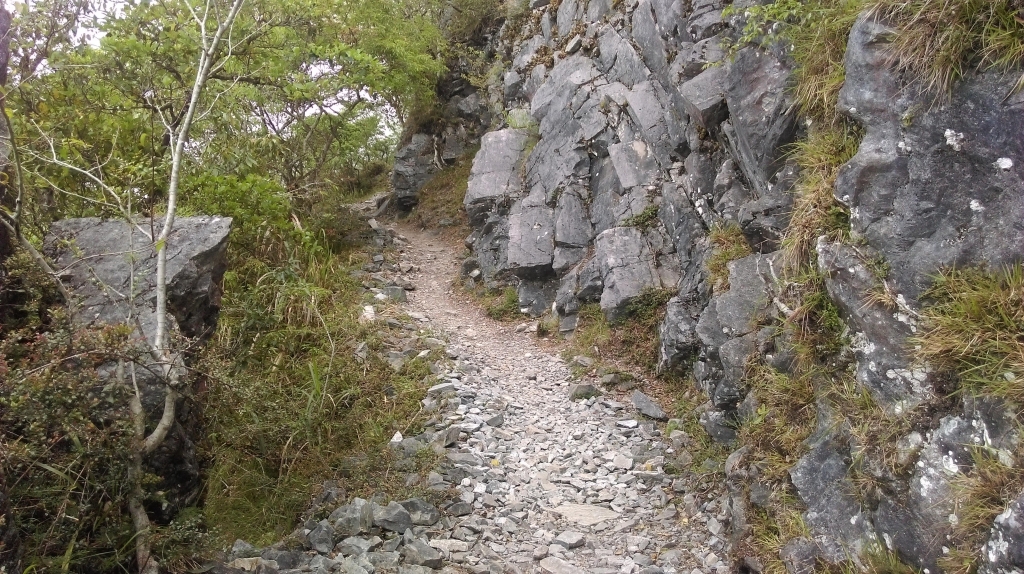 20160410錐麓古道_34704