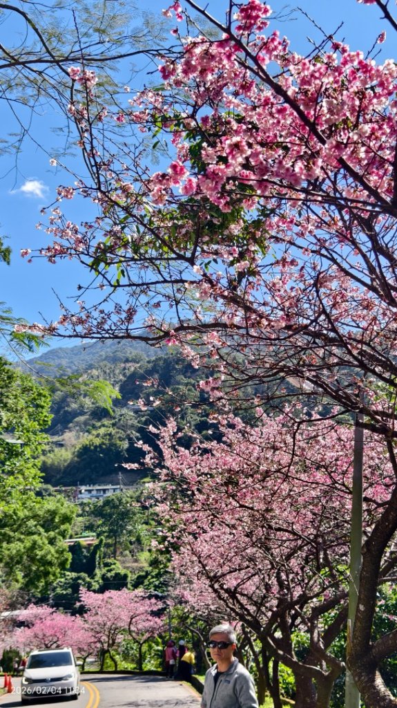 #栗尾椋鳥 #綠繡眼 #東湖樂活公園 #花園新城 #屈尺 #寒櫻 2/4_2992893