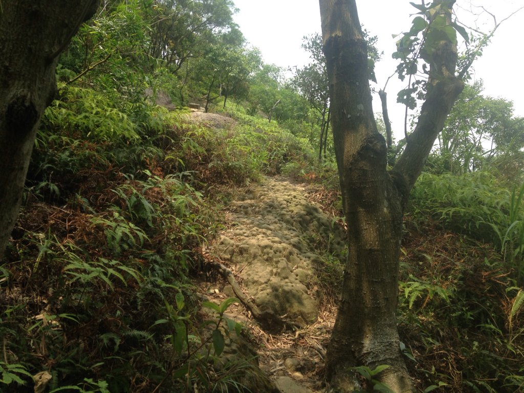 雞南山步道_589166