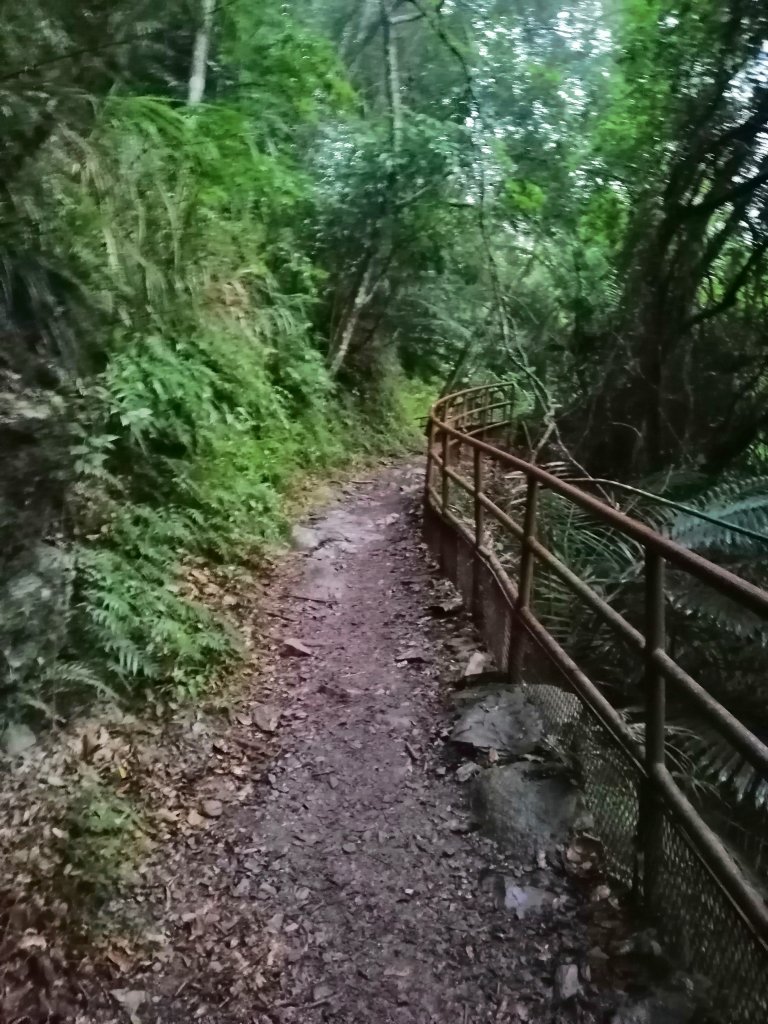 青山綠水雲霧繚繞。 綠水合流步道_769460