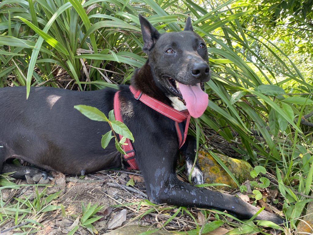 2021.09.20 金面山_1541344