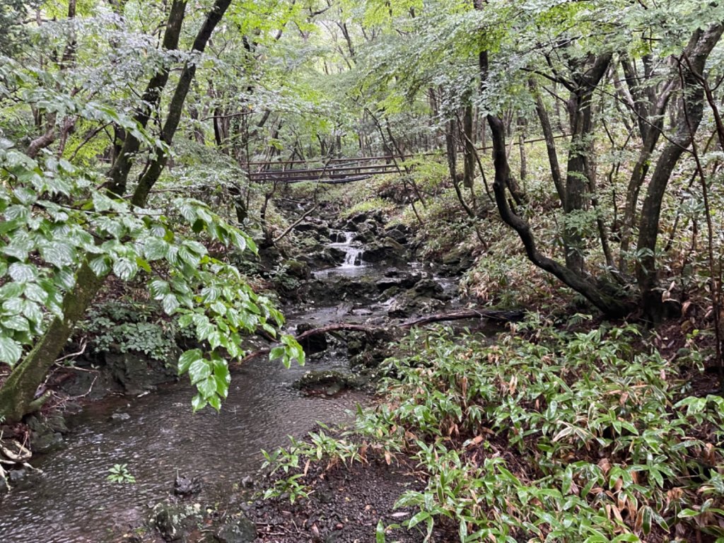 1140811 KR 漢拏山杜鵑花田避難所-紗羅岳觀景臺_2860095