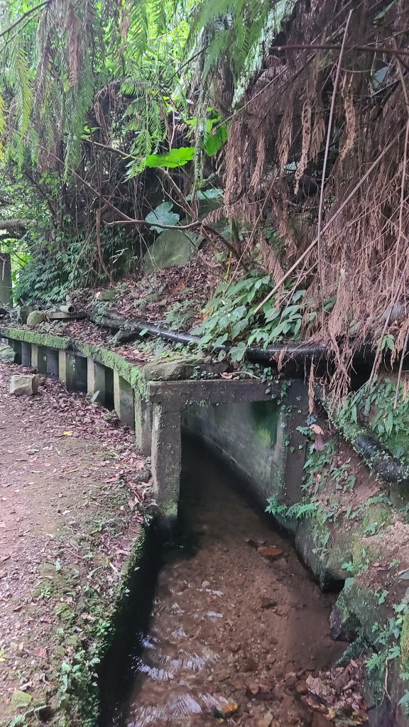 臺北士林-荷蘭古道_2208248