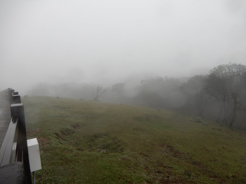 魚路古道北段+挑硫古道+大油坑山O型_816242