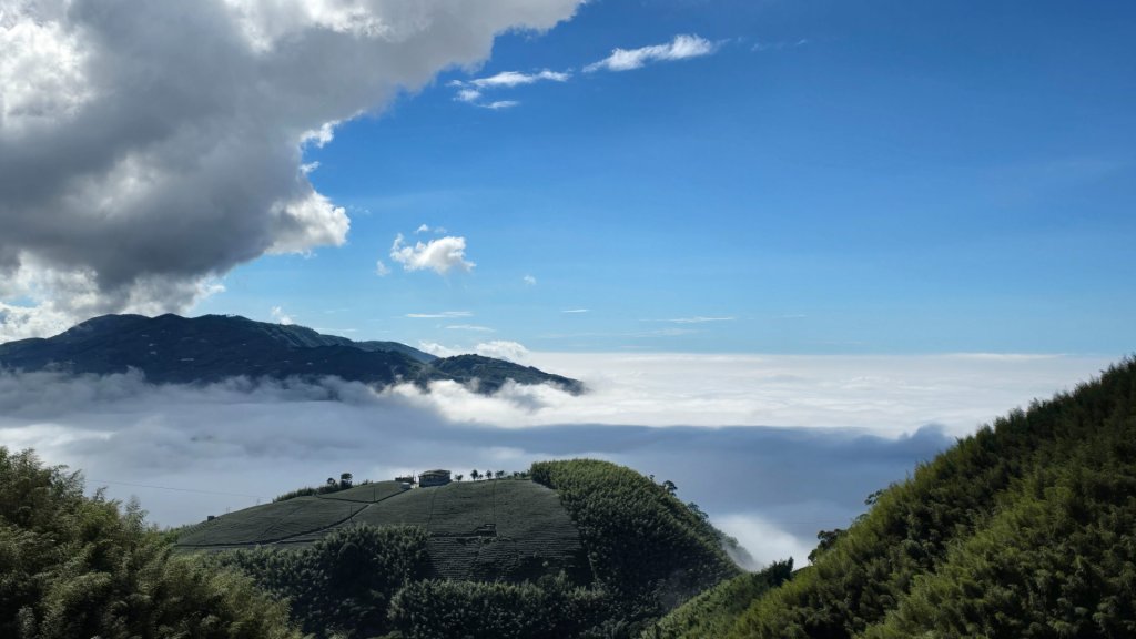 溪頭五連峰O繞（大崙頭／樟空倫／貓冬望／志騰／竹崙）_2652429