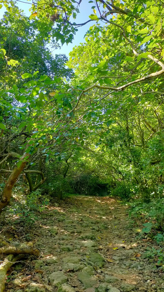 柴山三角點_1484299