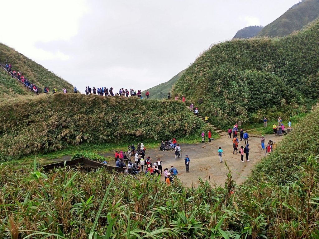 【小百岳集起來】三角崙山, 聖母登山步道_1148132