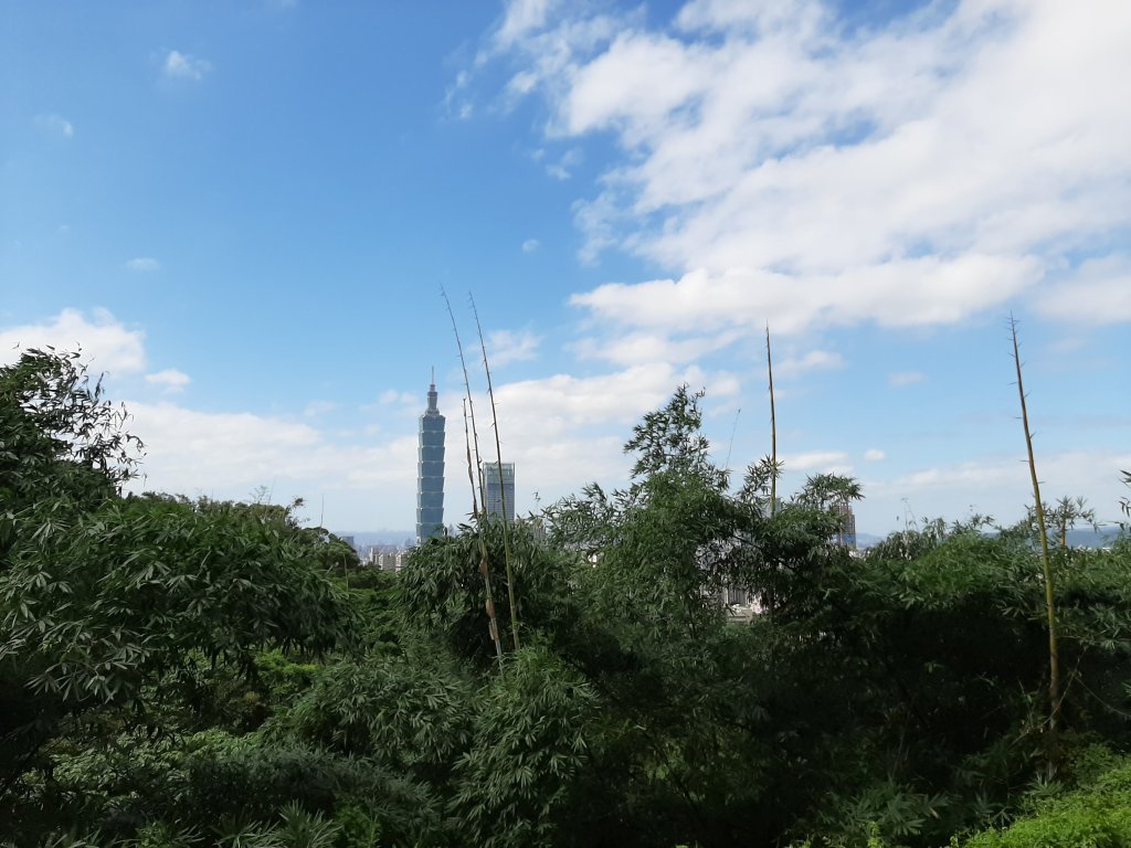 虎、豹、獅、象、九五峰、南港山、拇指山_1145182