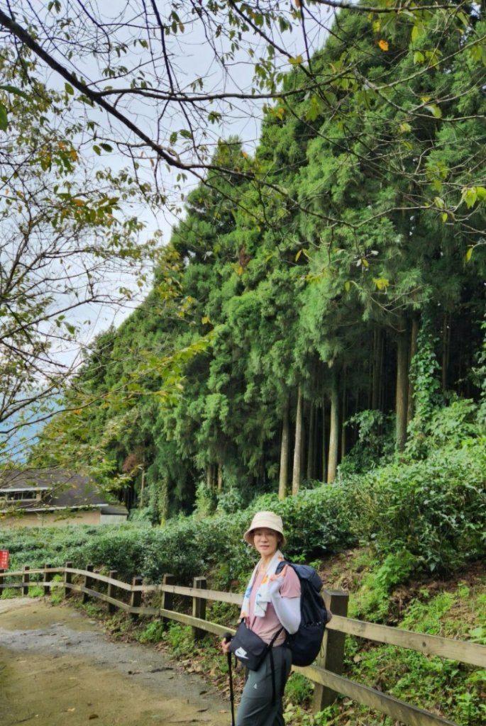 【中級山】有一種美，令人不想回家，新竹鵝公髻山_2744626