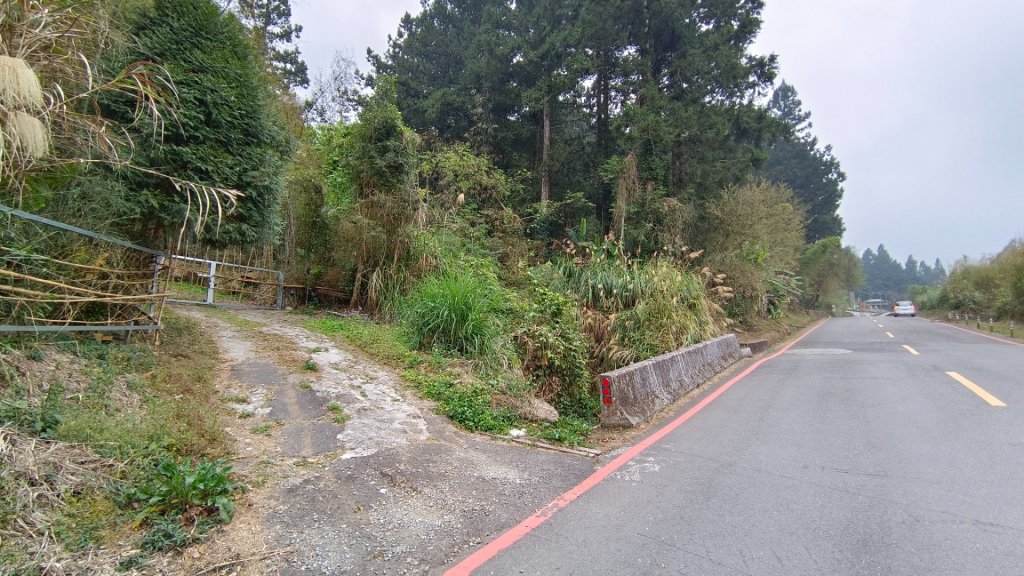 溪頭鳳凰山（米堤飯店香蕉園登山口）封面圖