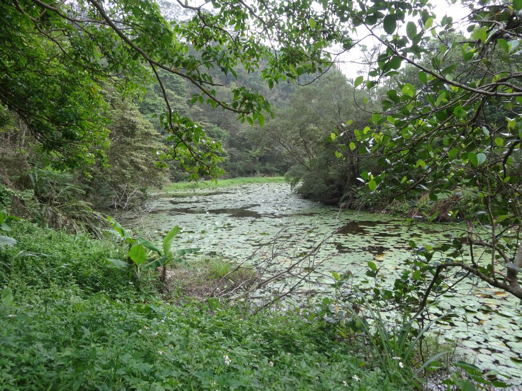 石碇湳窟山步道_1743395