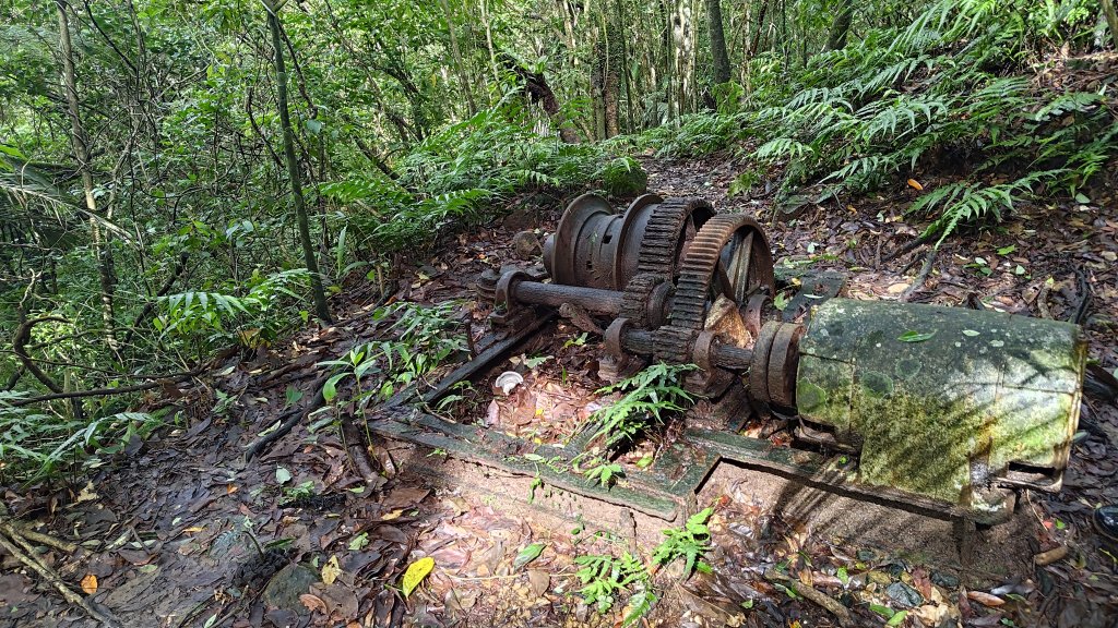 楊廷理古道_2814590