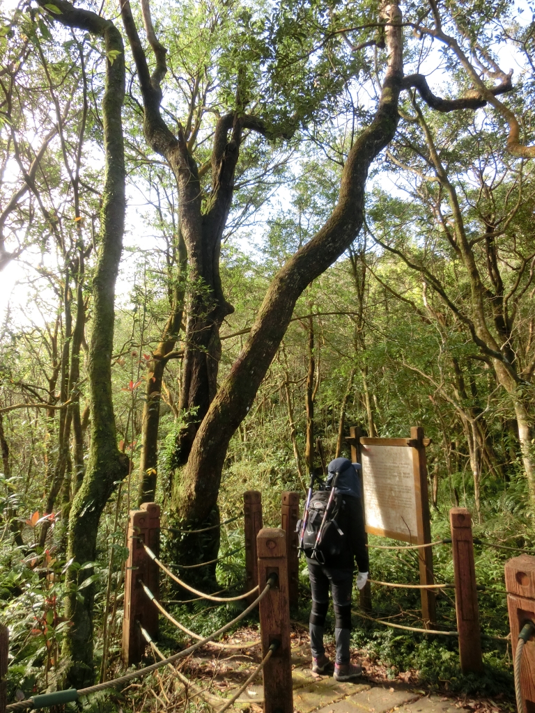 獅仔頭山隘勇線_92036