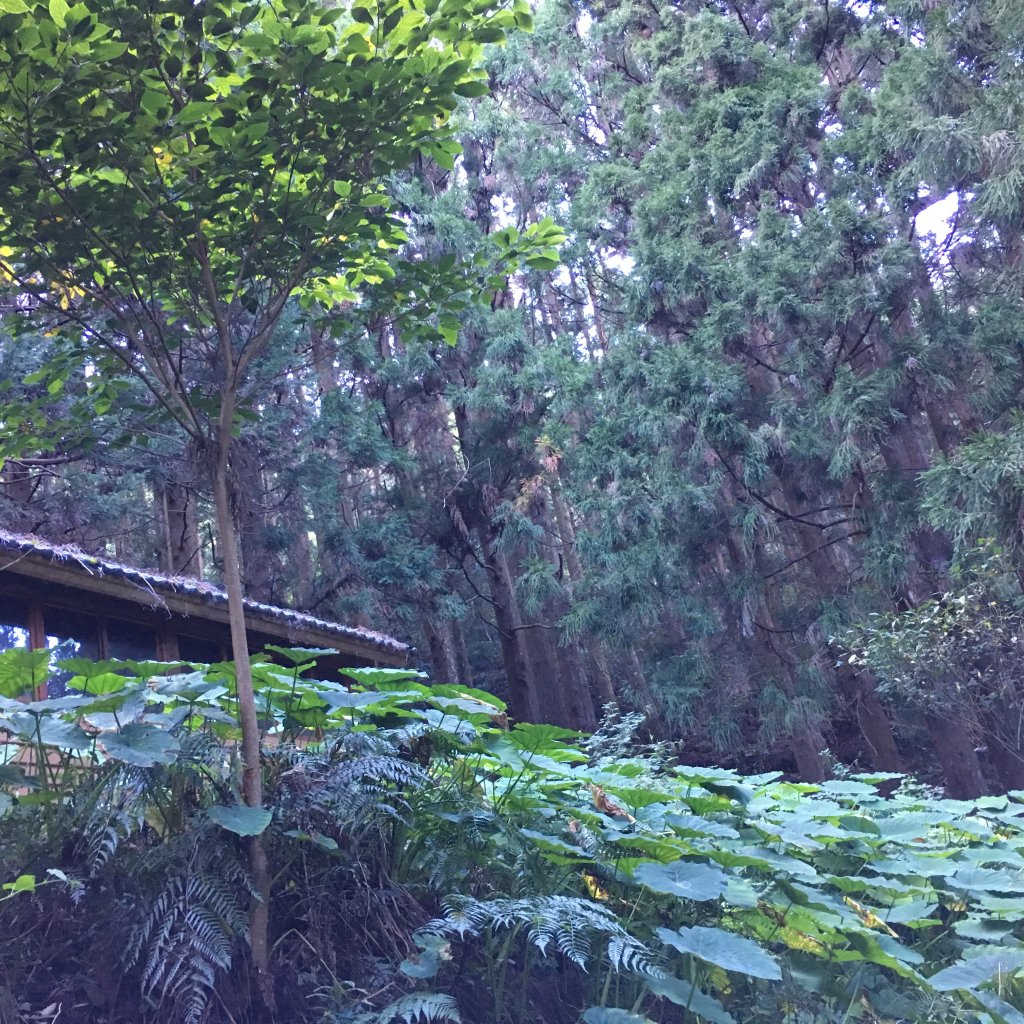 20161225_加里山_874408