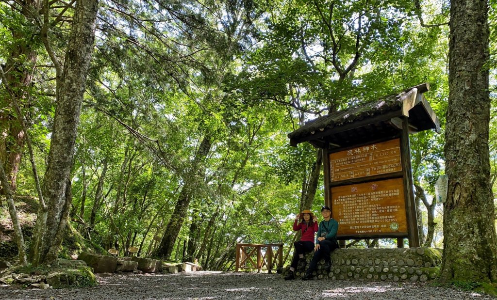 石山引水道 鹿林前山瀑布 鹿林神木_1741140