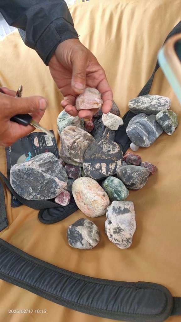 挑戰者之歌/新城-曼波海提-七星潭-月牙灣-四八高地_2714734