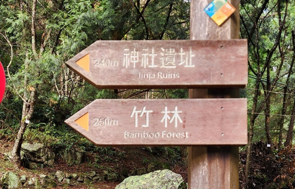 【中級山】谷關七雄八仙山_2745095
