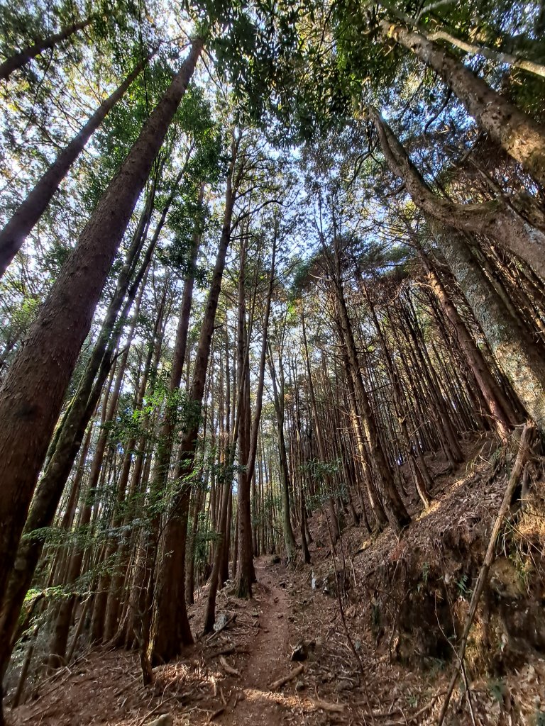 一日白雪村_2039694