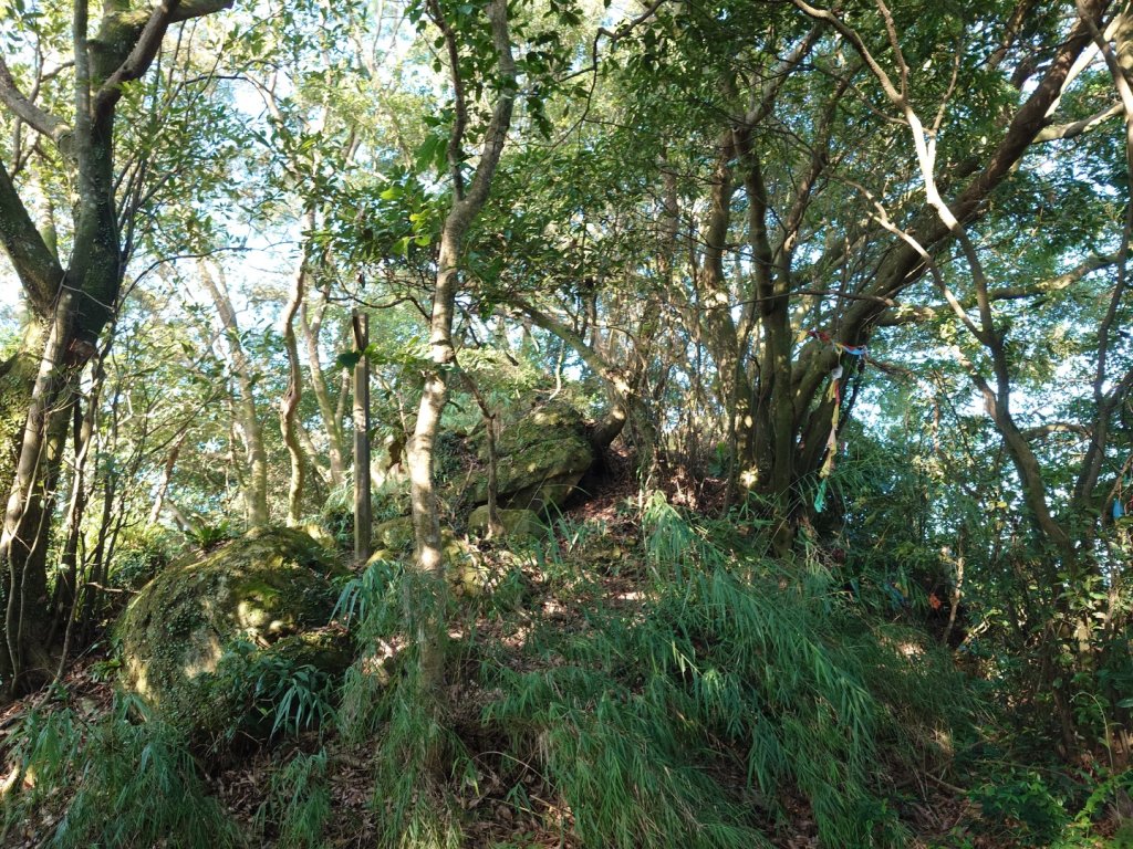 微笑山線之鳶山任務_2855495