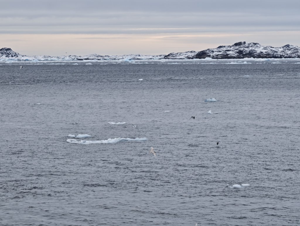 [紐約馬之行-27] 2025_1105 努克濱海木棧道(Nuuk Boardwalk)-下_2947615