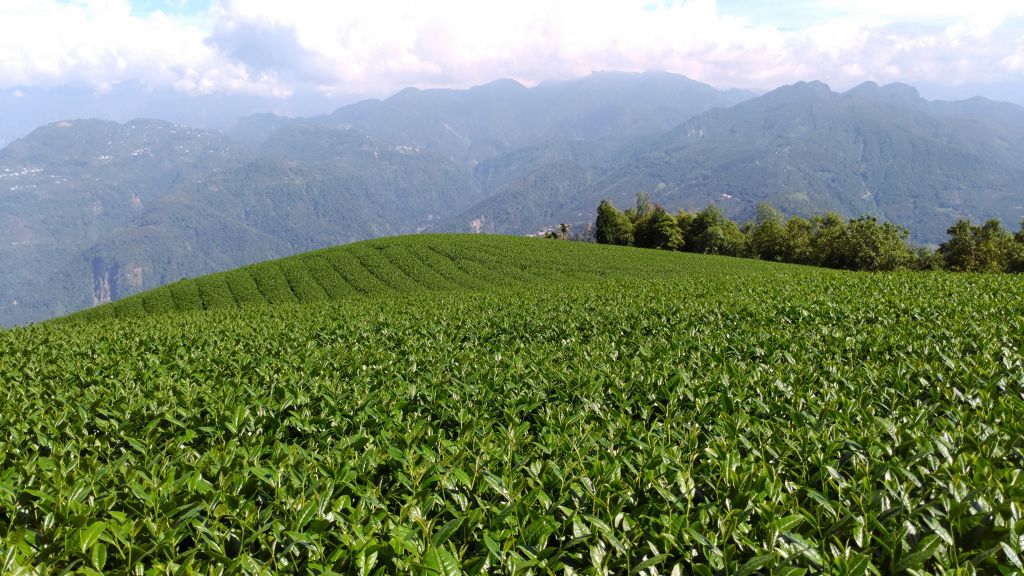 樟腦寮-獨立山-大巃頂_184829