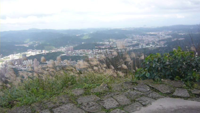 花崗岩石階步道整齊好走～大尖山步道_1224461