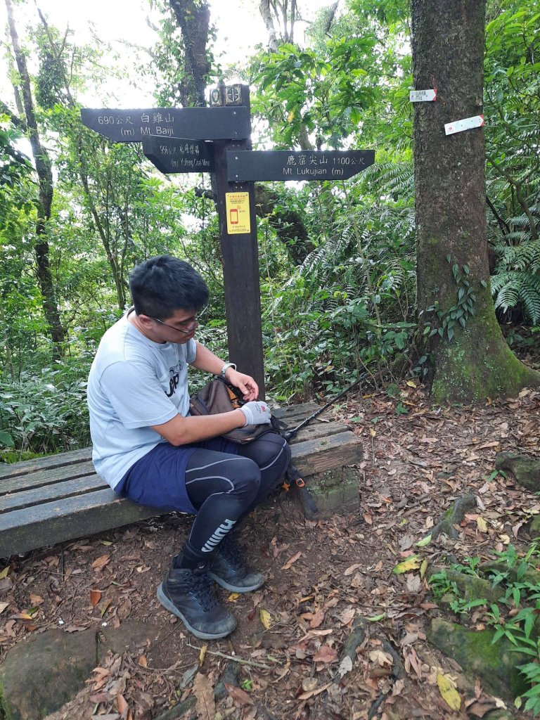 20230715 白雞三山 (鹿窟尖山-雞罩山-白雞山)，高CP好吃的食三麵屋_2219401