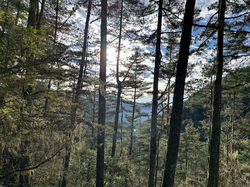 戒茂斯上嘉明湖 2/28-3/2/2025_2728762