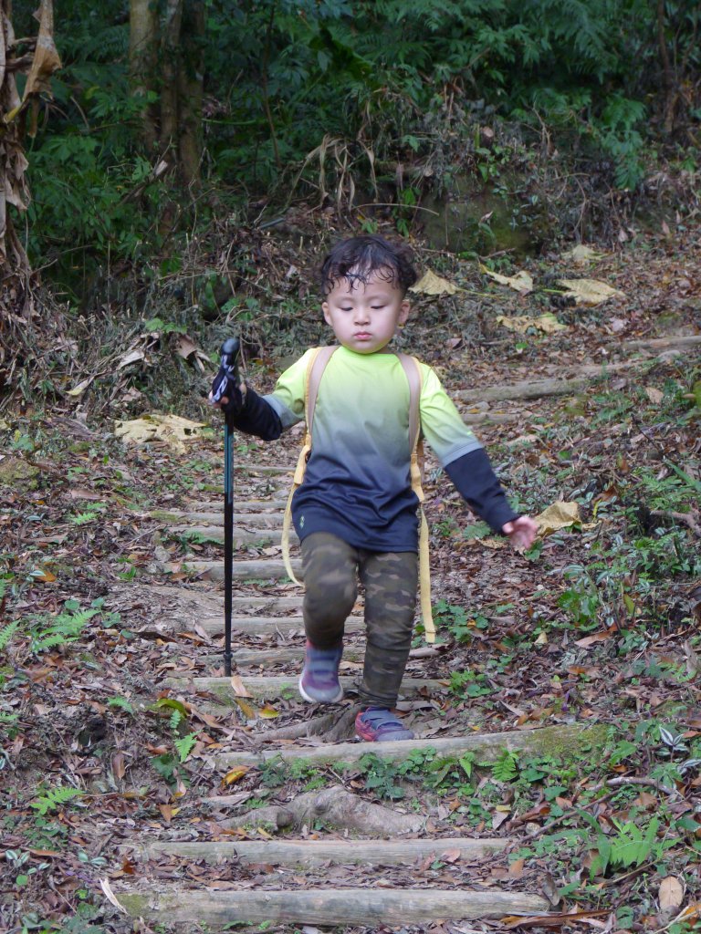 阿興阿賢馬那邦山_563636