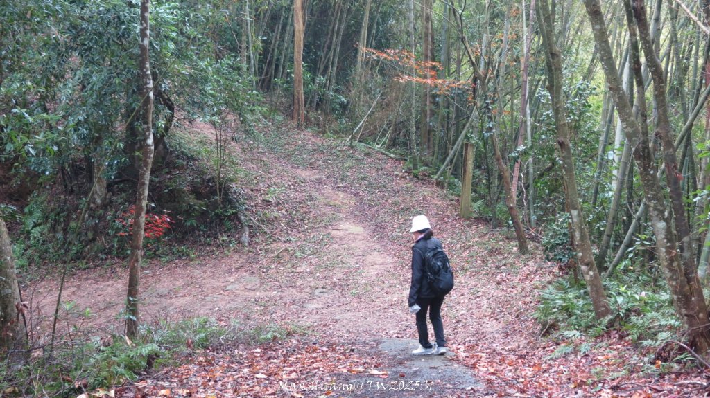 《苗栗》台鐵舊山線｜三義勝興鐵道覓境及挑柴古道O繞20250119_2693588