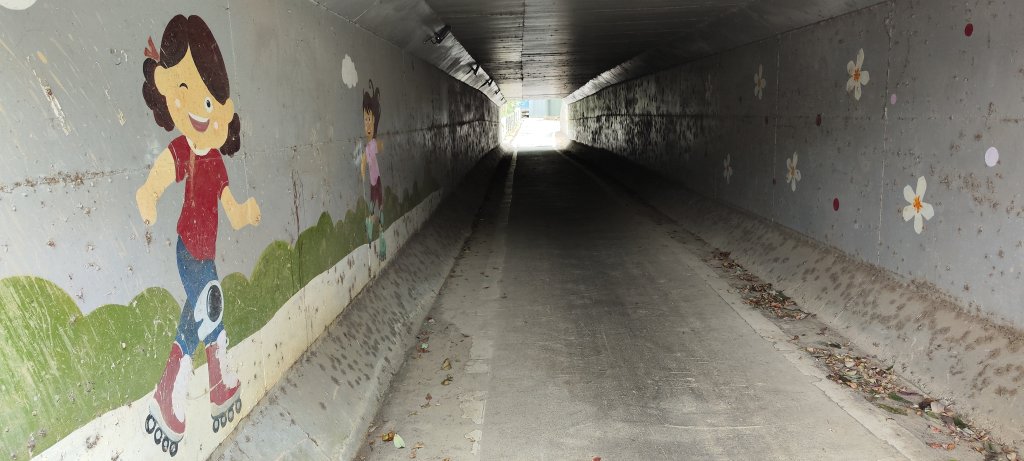 桃園．龍潭觀光自行車步道20231203_2399692