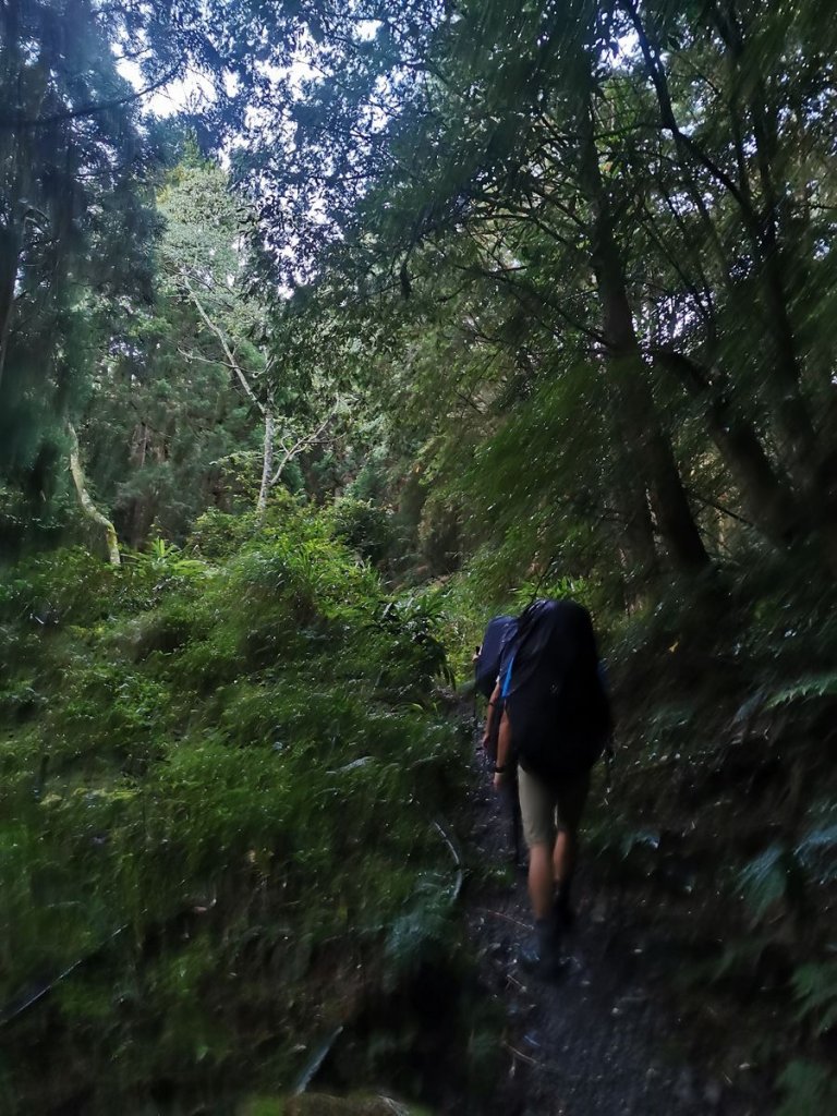 近臨雲海滿佈的干卓萬群峰-10/9~11_1139019