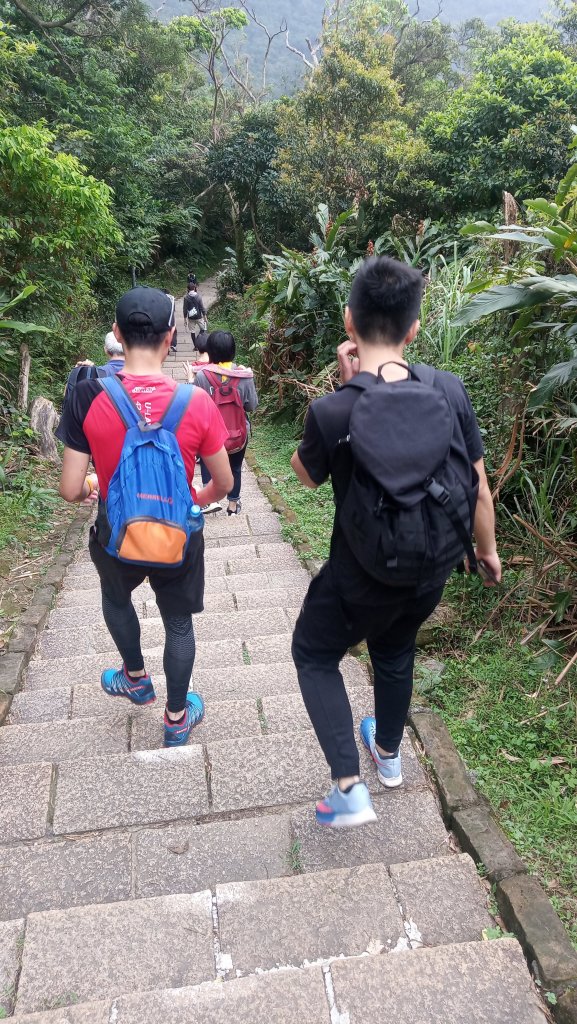 四獸山縱走_907397