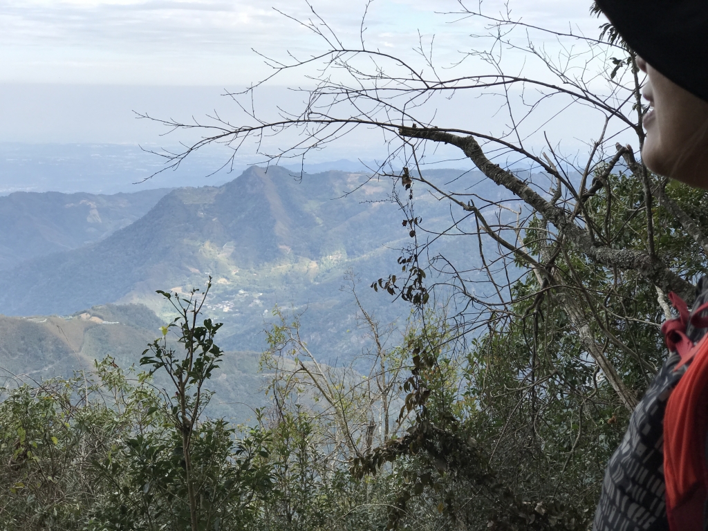 高島縱走之奇幻森林_94035