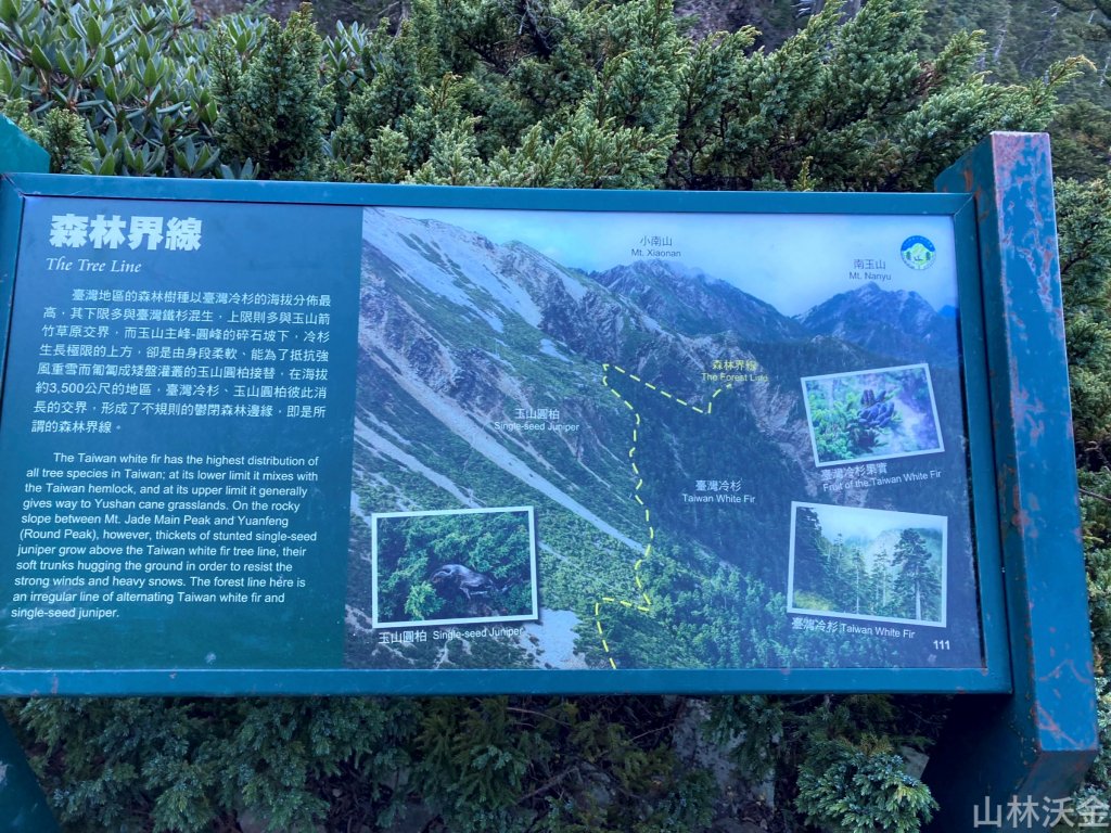 2023-11-27 玉山主峰_2365016