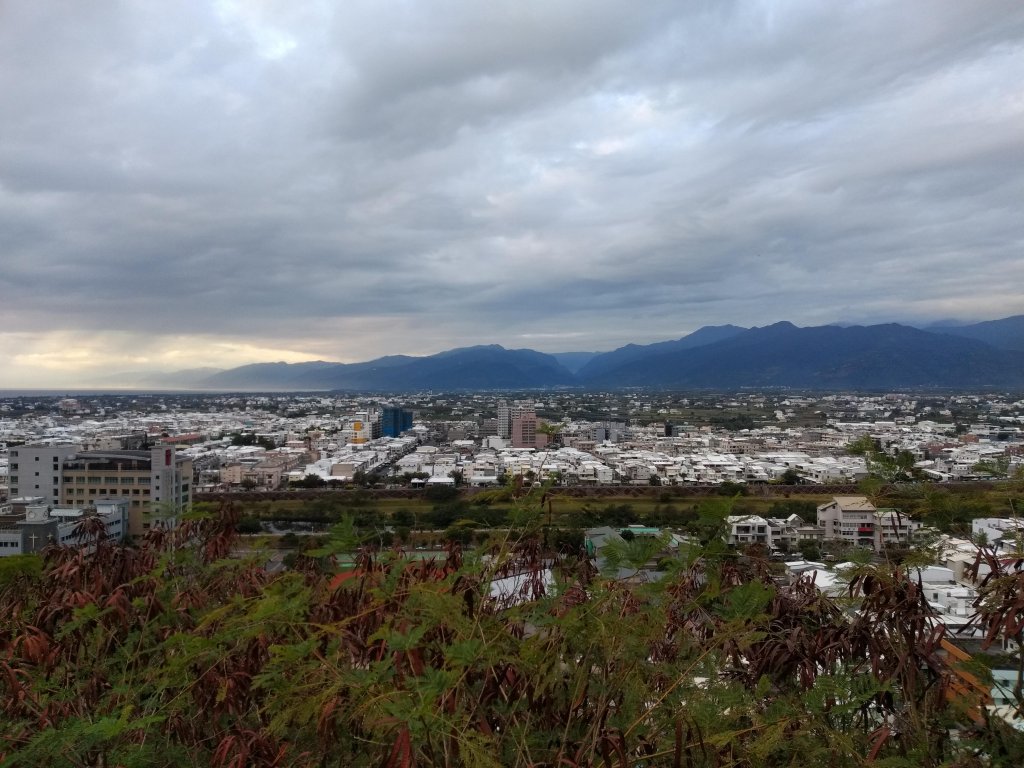 步道巡訪員│鯉魚山步道一月巡訪日誌_817364