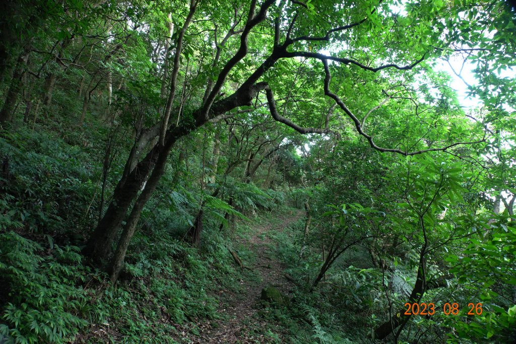 基隆 頂寮山、龍門山、五分山、頂子寮山_2265915