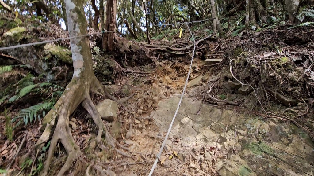 復興三尖之夫婦山_2356732