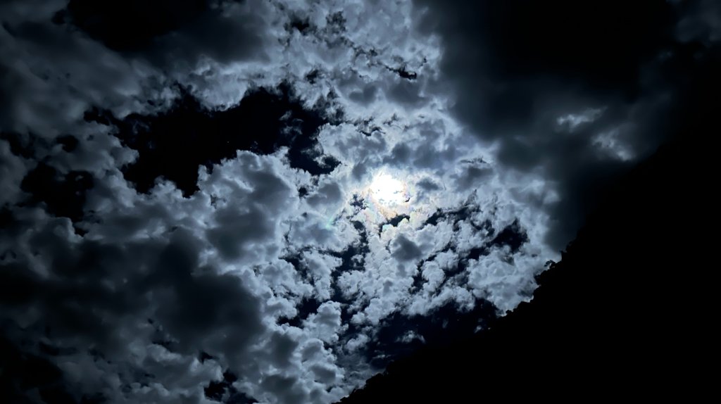 台灣最高如神般存在的大安溪倚天劍巨木探訪_2747983