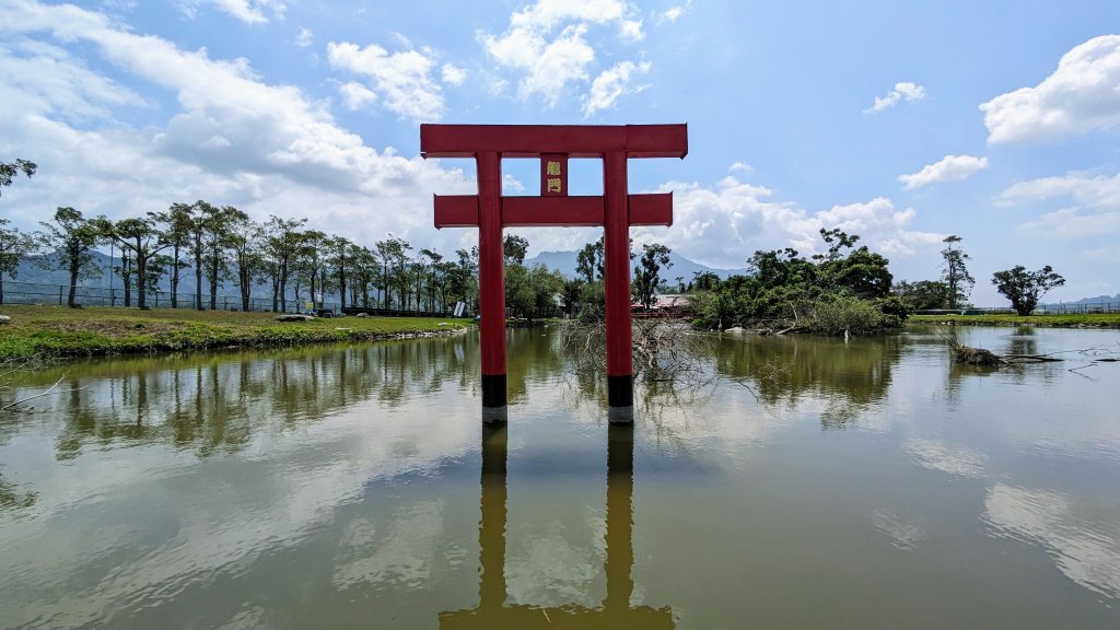 鹿野高台,關山濕地_2466998