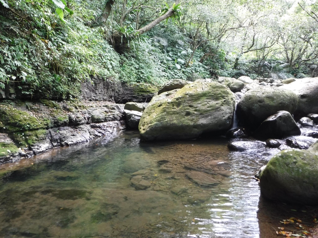 繽紛夏滋味-東北角一日雙棲戲水樂_52953