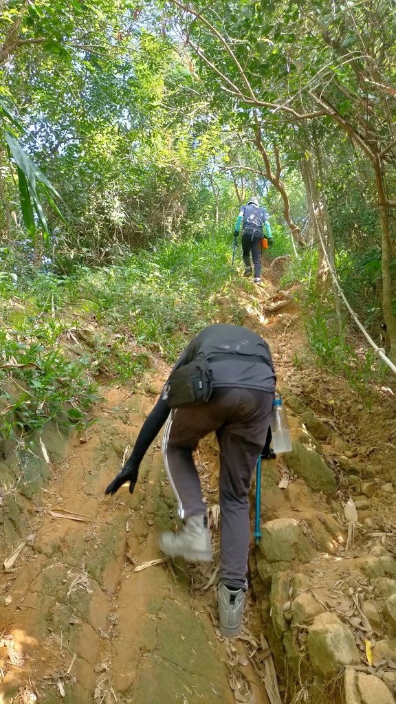 2121/10/09旗尾山環狀_1484226