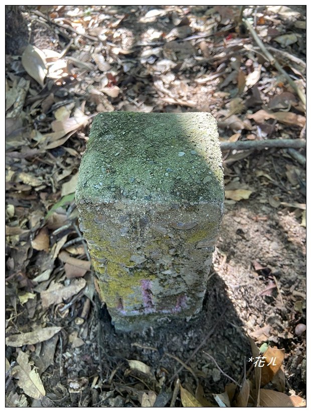 雨後頭縱走 (日月潭)_2694461