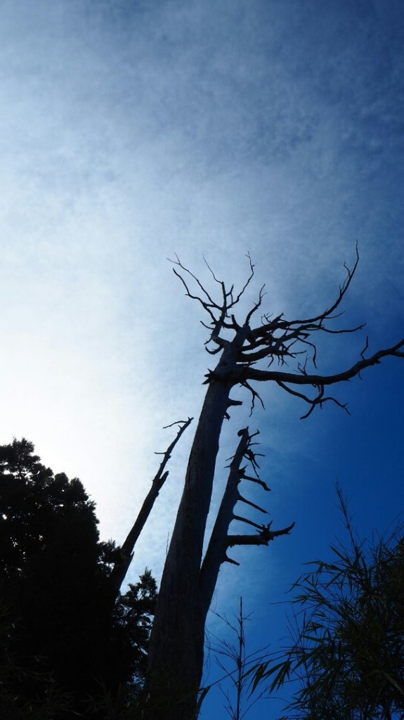 台中鞍馬山船型山蹤走20191124_748535