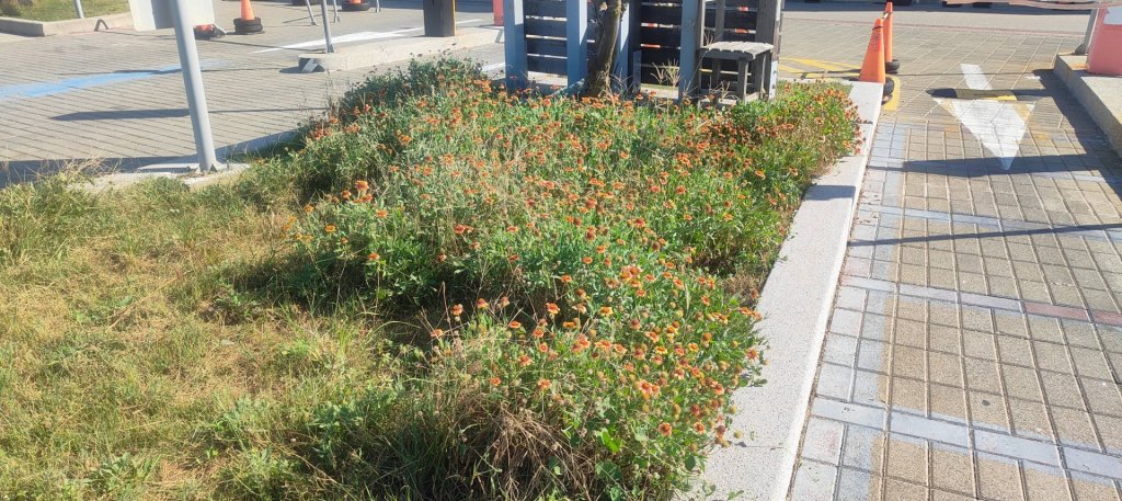 澎湖奎壁山封面圖