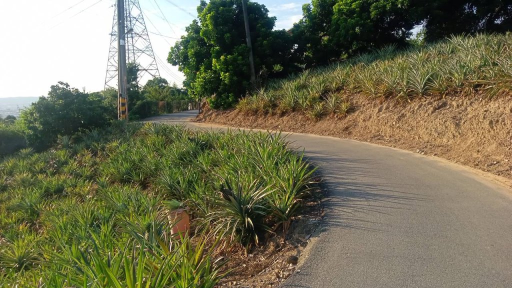 20221104台中霧峰 阿罩霧山O型Ⅱ（樟公巷-三角點-仁德巷-玉蘭谷-阿罩霧公園）_1899982