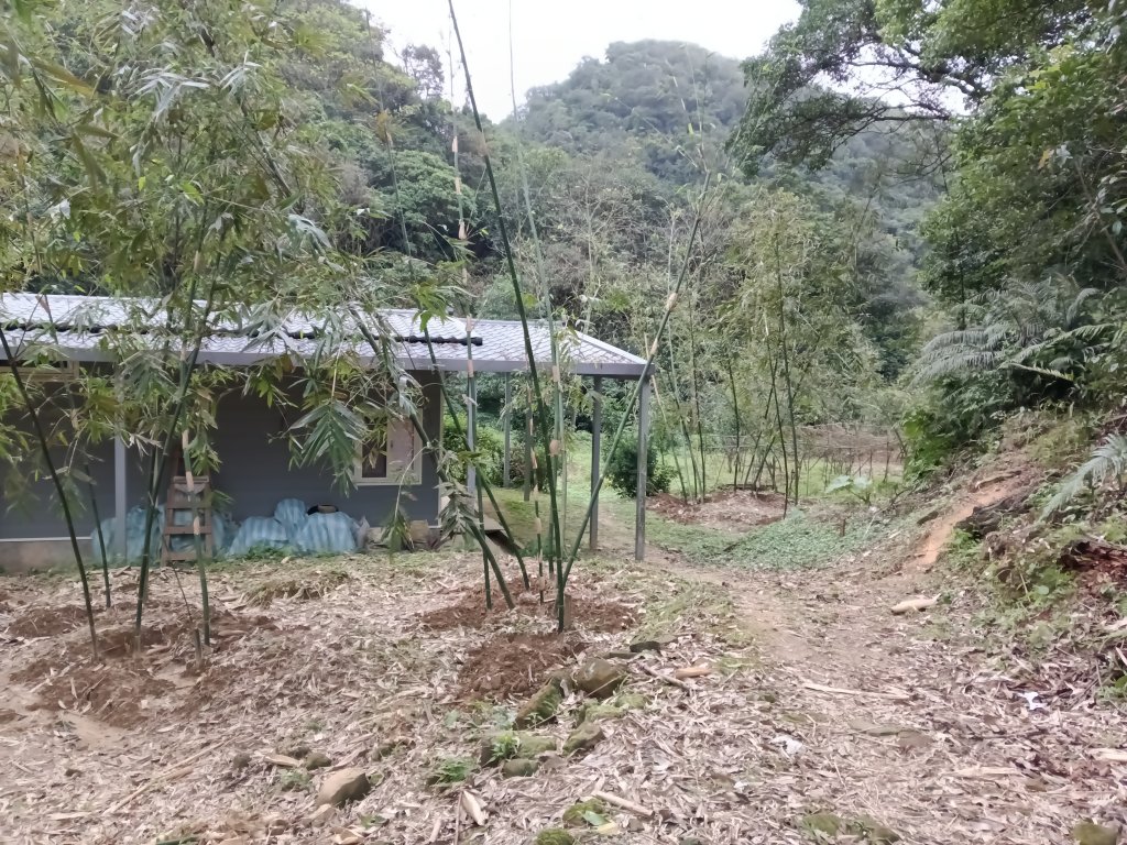 基隆市三層山+湳子大崙+淡基橫斷古道+面桶寮土地公_2982285