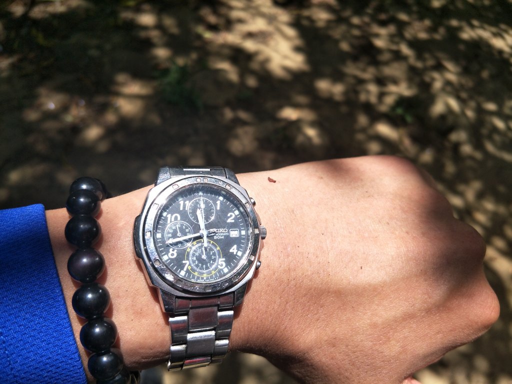 2019 07 17 金面山步道_631795