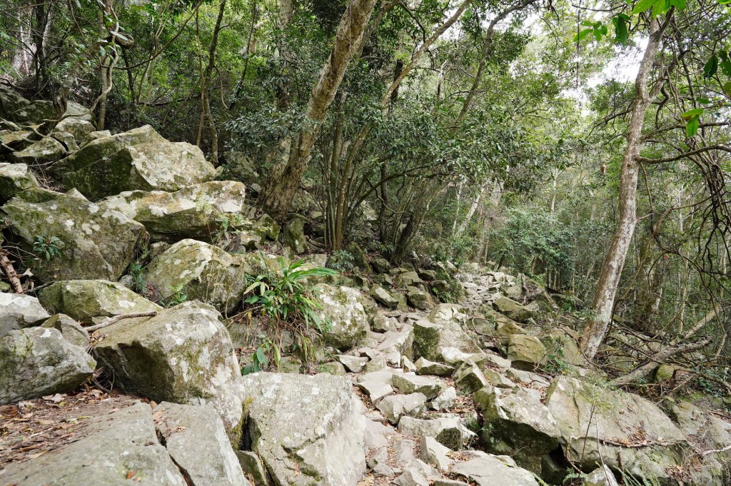 台中 和平 東卯山_2674494